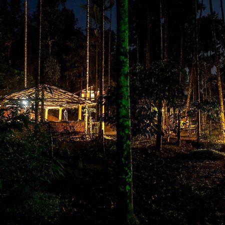 Wooden Cottages Glendale Wayanad Meppādi Exterior foto