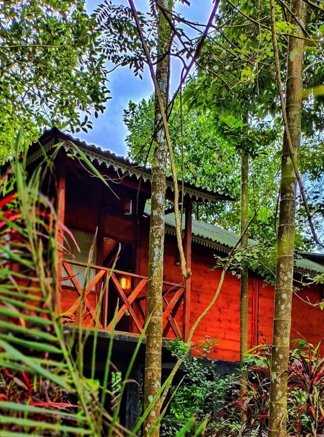 Wooden Cottages Glendale Wayanad Meppādi Exterior foto