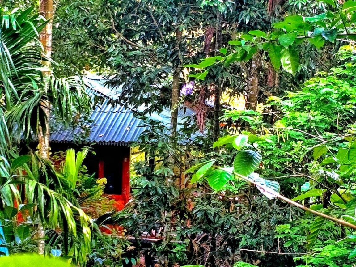 Wooden Cottages Glendale Wayanad Meppādi Exterior foto
