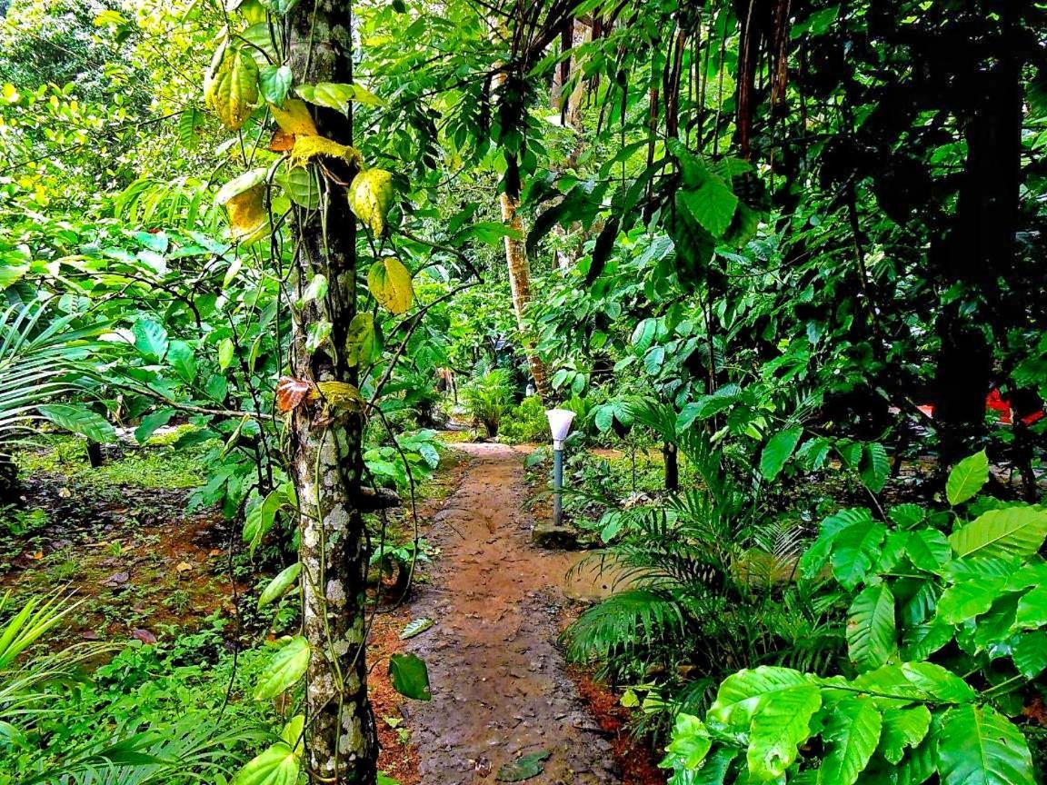 Wooden Cottages Glendale Wayanad Meppādi Exterior foto