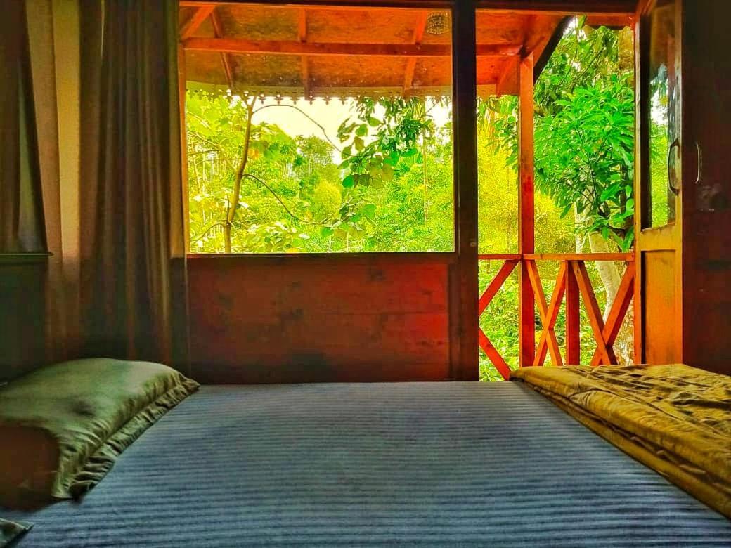 Wooden Cottages Glendale Wayanad Meppādi Exterior foto