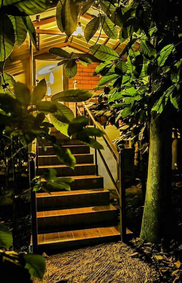Wooden Cottages Glendale Wayanad Meppādi Exterior foto