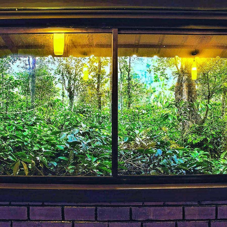 Wooden Cottages Glendale Wayanad Meppādi Exterior foto