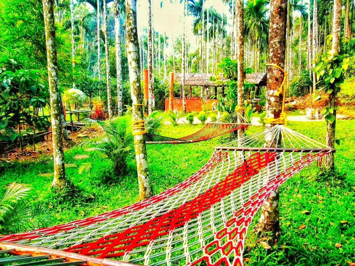 Wooden Cottages Glendale Wayanad Meppādi Exterior foto