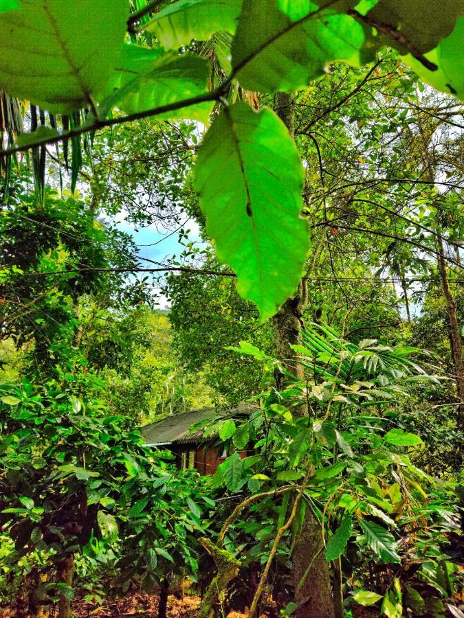 Wooden Cottages Glendale Wayanad Meppādi Exterior foto