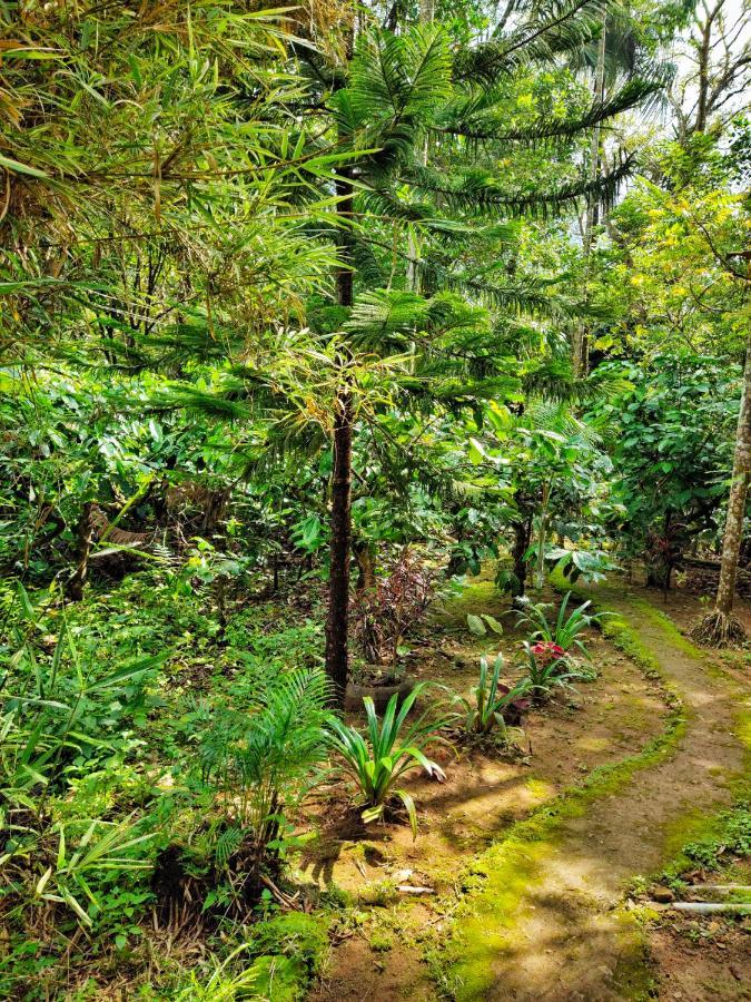 Wooden Cottages Glendale Wayanad Meppādi Exterior foto