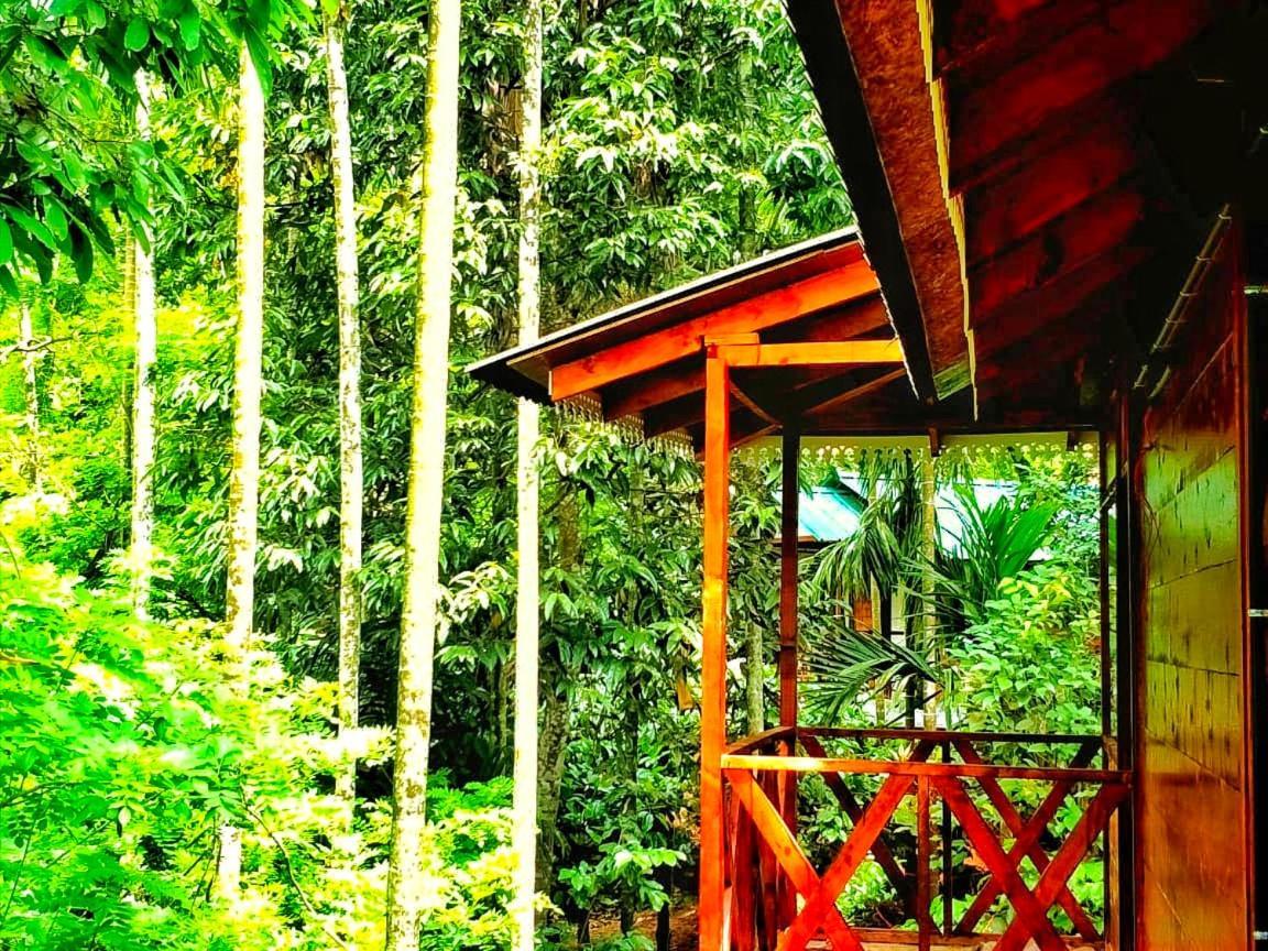 Wooden Cottages Glendale Wayanad Meppādi Exterior foto