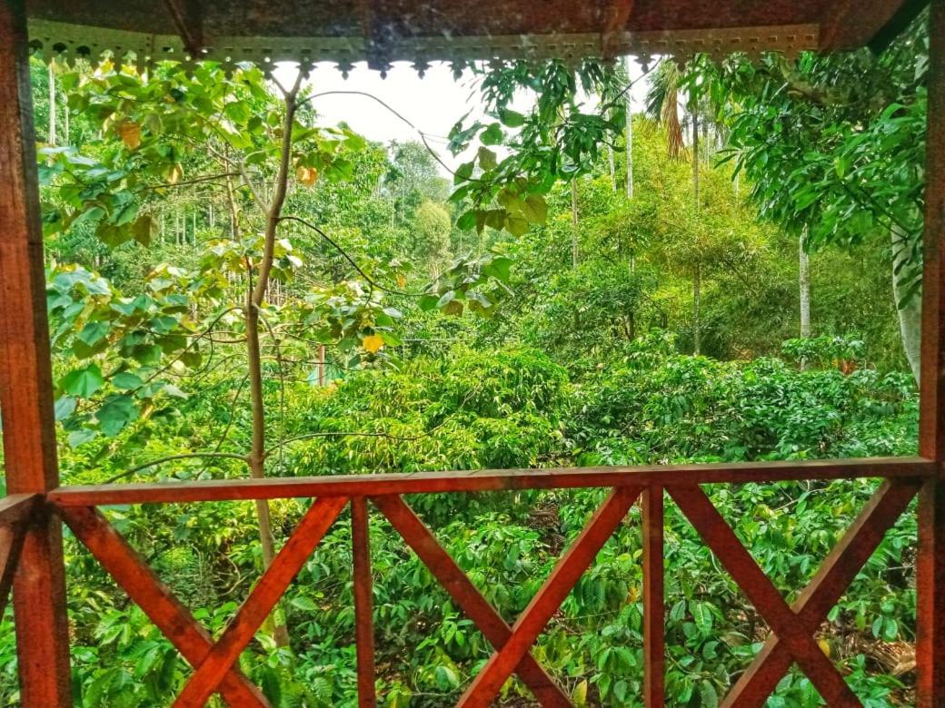 Wooden Cottages Glendale Wayanad Meppādi Exterior foto