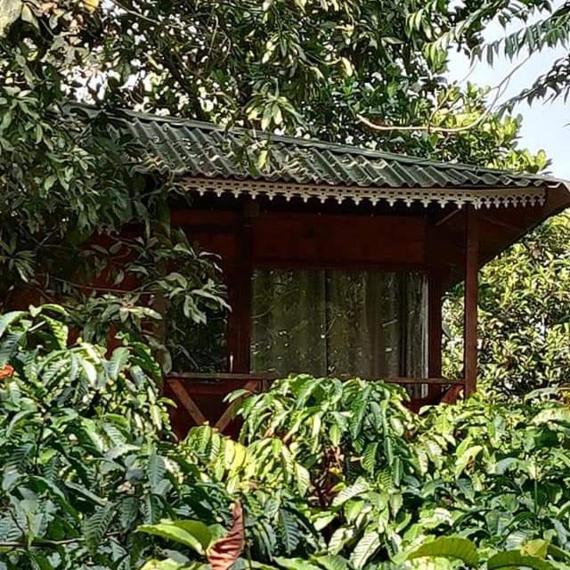 Wooden Cottages Glendale Wayanad Meppādi Exterior foto