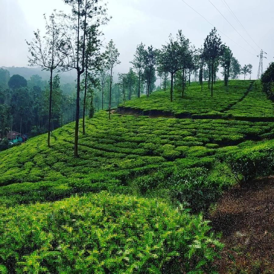 Wooden Cottages Glendale Wayanad Meppādi Exterior foto