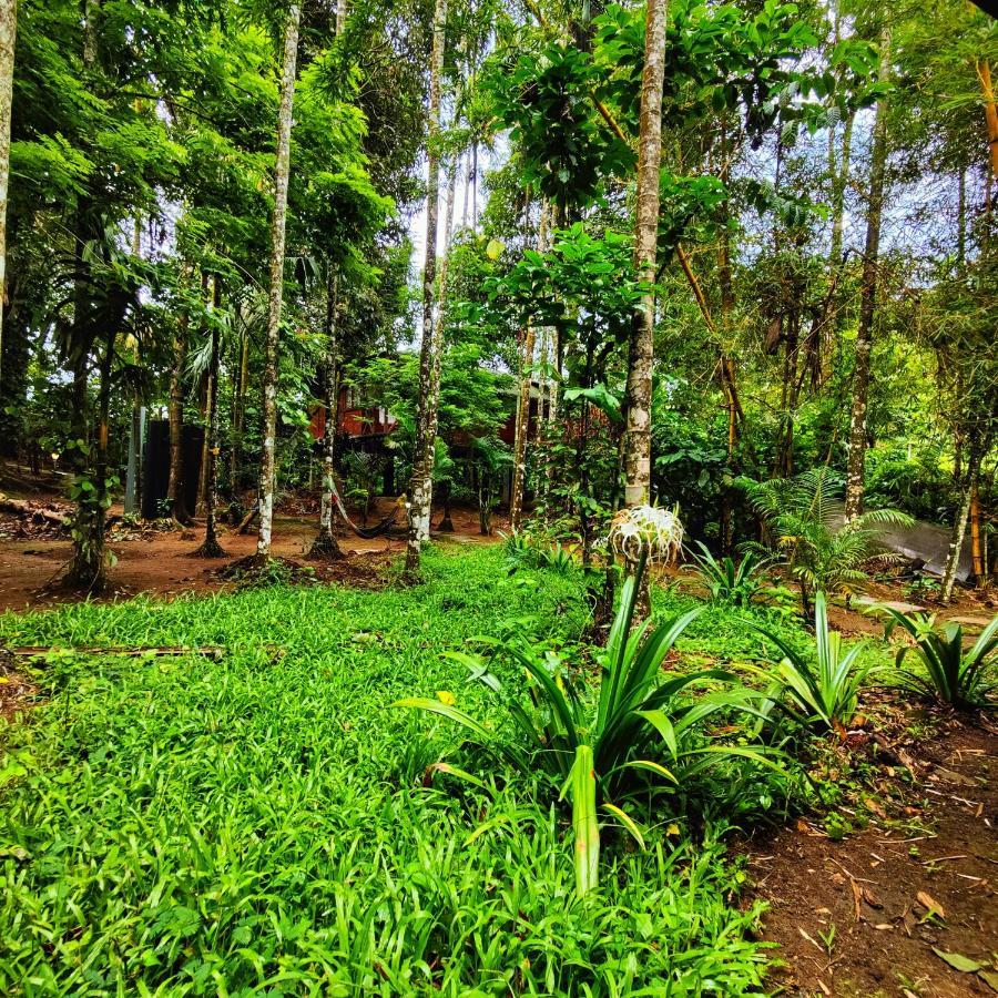 Wooden Cottages Glendale Wayanad Meppādi Exterior foto