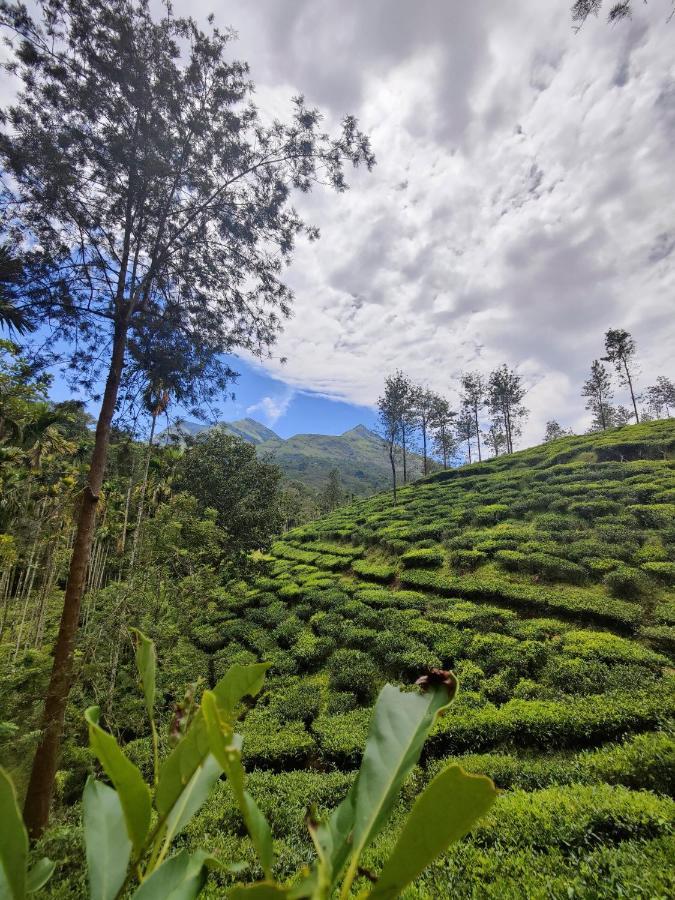 Wooden Cottages Glendale Wayanad Meppādi Exterior foto
