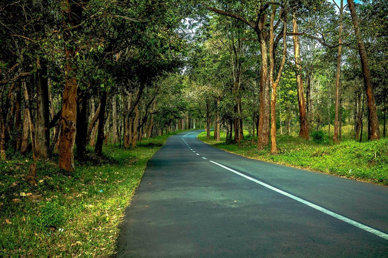 Wooden Cottages Glendale Wayanad Meppādi Exterior foto