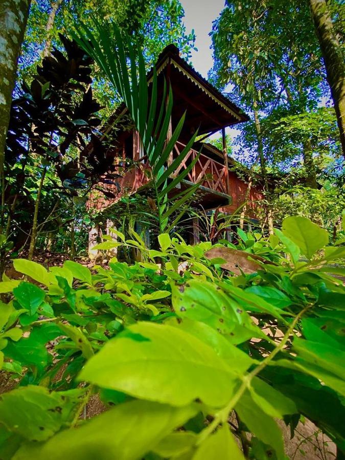 Wooden Cottages Glendale Wayanad Meppādi Exterior foto