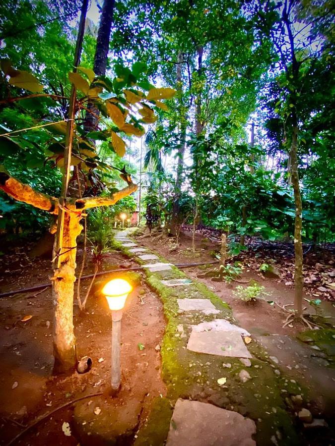 Wooden Cottages Glendale Wayanad Meppādi Exterior foto
