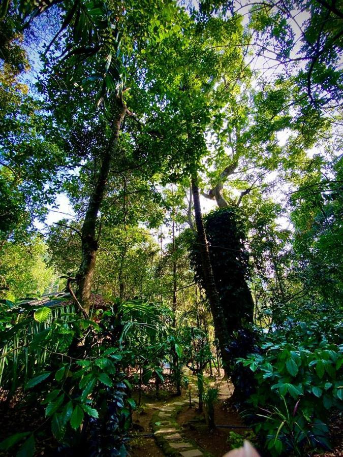 Wooden Cottages Glendale Wayanad Meppādi Exterior foto