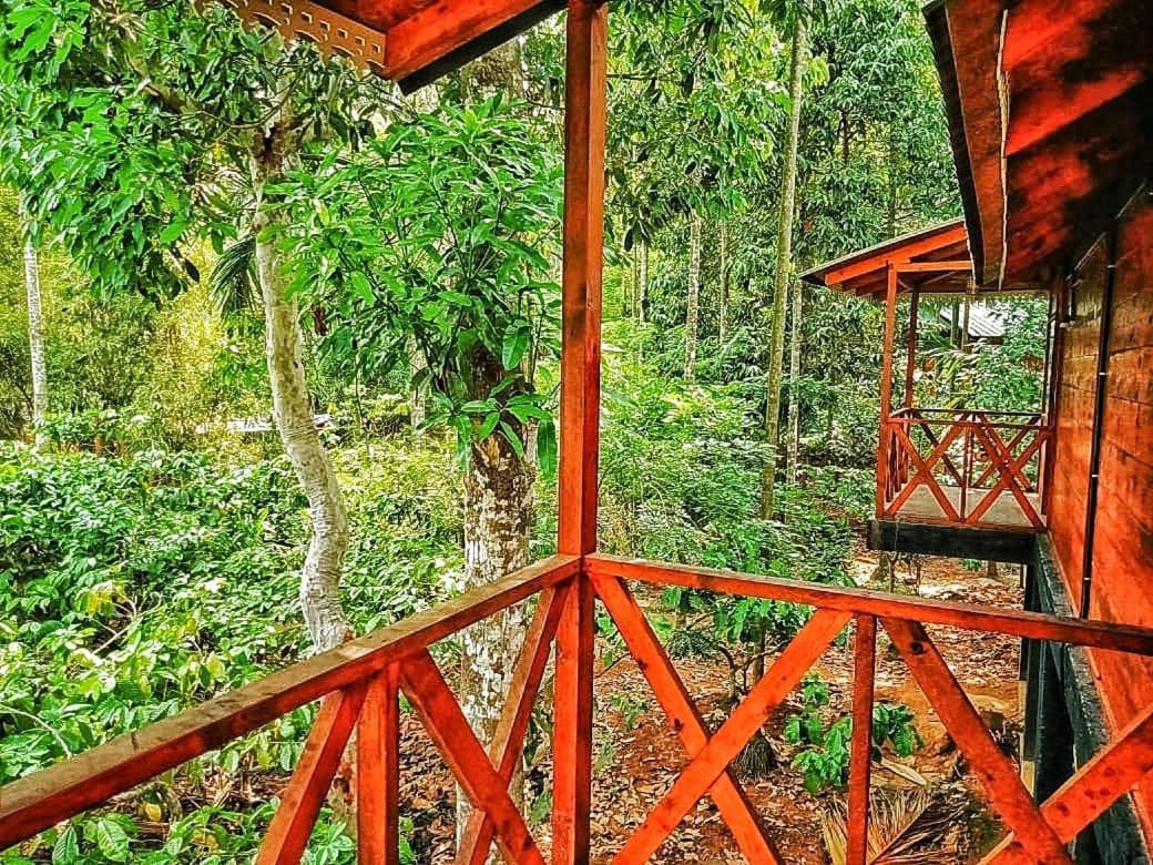 Wooden Cottages Glendale Wayanad Meppādi Exterior foto