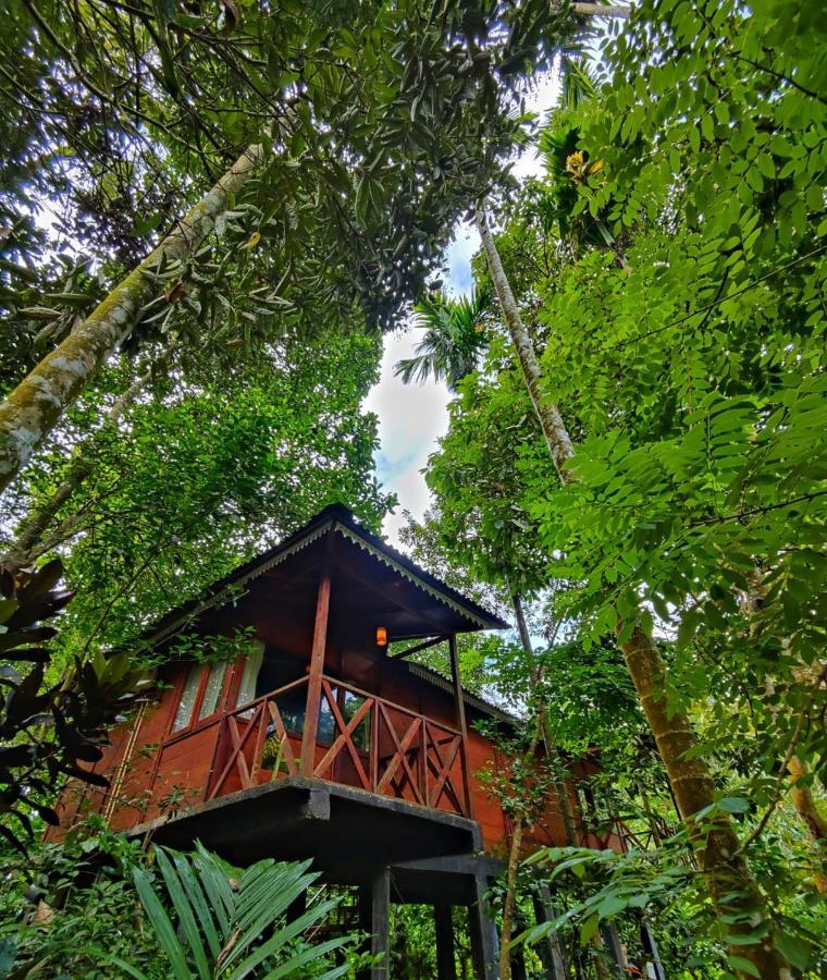 Wooden Cottages Glendale Wayanad Meppādi Exterior foto