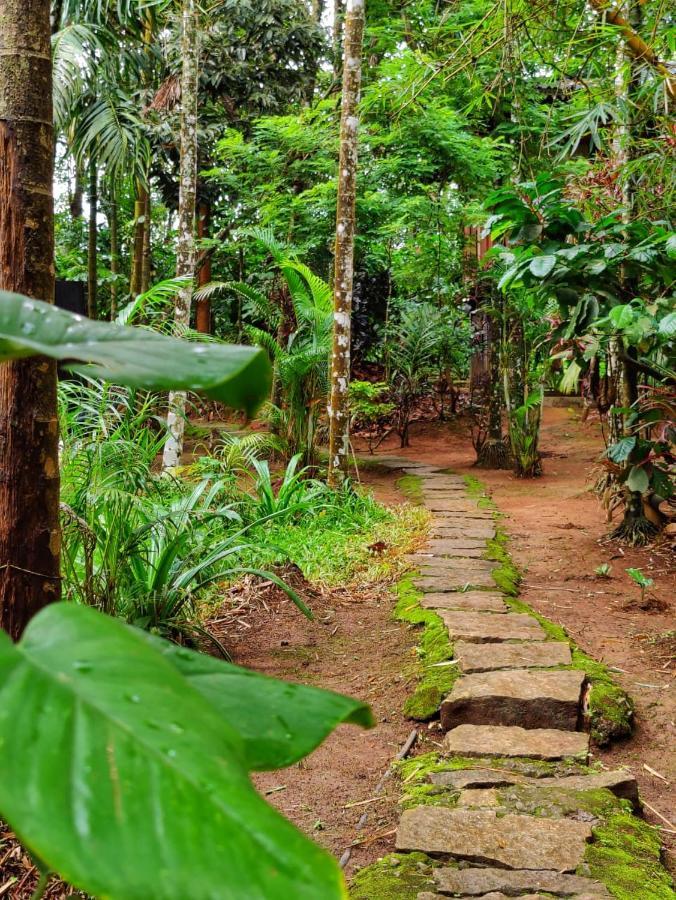 Wooden Cottages Glendale Wayanad Meppādi Exterior foto